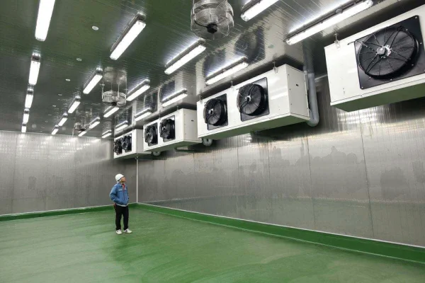 2. Sistemas de absorción