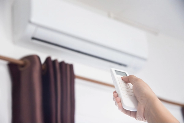 Despacho rápido y seguro