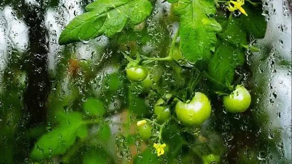 10 datos claves sobre la humedad relativa