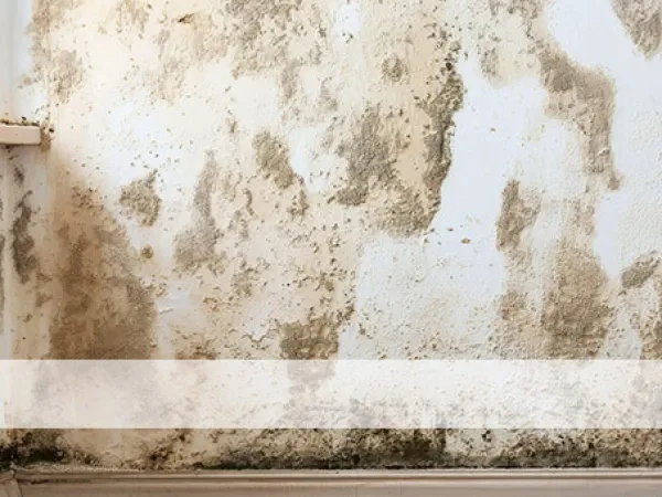 7. Cómo la humedad del ambiente modifica la calidad del aire interior