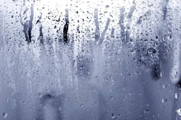 9. La humedad relativa como factor detonante de alergias y ácaros