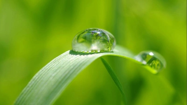 Ventajas de mantener una humedad relativa adecuada